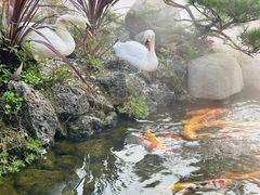 -罗红摄影艺术馆