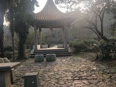 -雨花胜境
