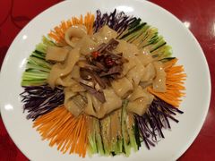 五彩拉皮-尚府一品·烤鸭·新京菜(圆明园店)