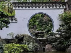 -南山植物园