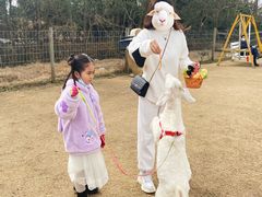 -前小桔亲子创意农场·草莓采摘·露营烧烤