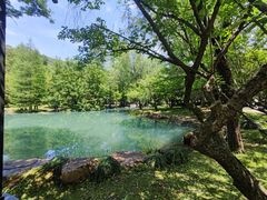 -兰亭风景区