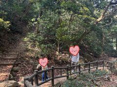 -狮子山郊野公园