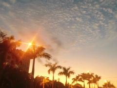 -演武大桥观景平台