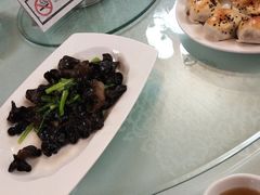 -喀纳斯禾木山庄