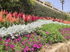 -苏州上方山国家森林公园