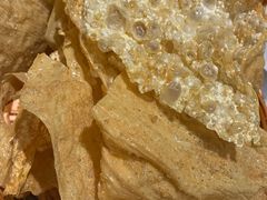 -九府羊·鲜羊火锅·烤串(新华路店)