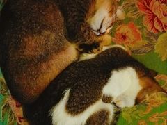 -星宿秘码(鼓浪屿老店)