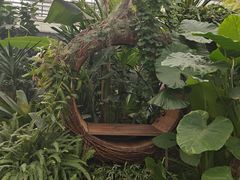 -上海鲜花港