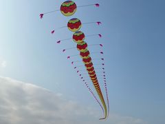 -径山花海