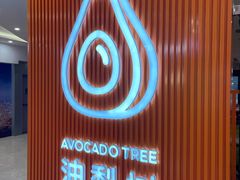-油梨树 AVOCADO TREE(亮马桥店)