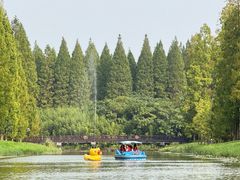 -黄海国家森林公园