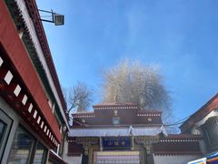 -小昭寺