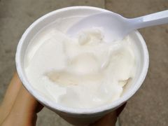 -洪馨椰子