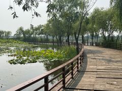 -绿堤公园