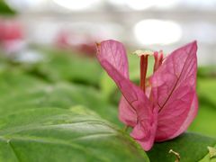 -郑州中国绿化博览园