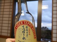 -有马温泉 竹取亭円山温泉旅馆