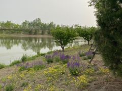 -东郊湿地公园