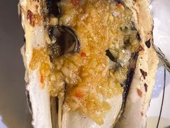 -土蚝·高压锅生蚝(百姓美食街店)