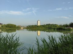 -西安世博园
