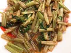 空心菜-复旦大学本部-食堂