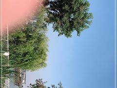 -上海山野camping·户外天幕烧烤·团建拓展营地