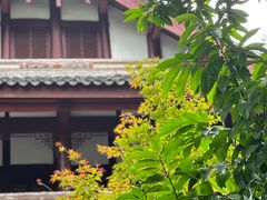 -成都杜甫草堂博物馆