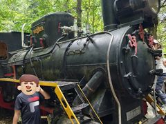 -五营红松林海景区