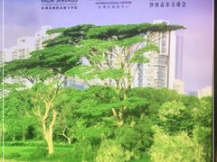 -棕榈泉国际高尔夫学院