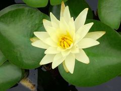 -梁鸿国家湿地公园