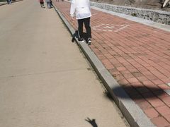 -哈尔滨北方森林动物园