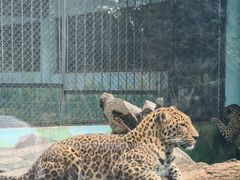 -昆明动物园