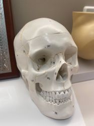 -纯粹医美