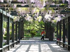 -北京市劳动人民文化宫(太庙)