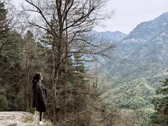 -九华山风景区