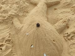 -威海国际海水浴场旅游区