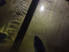 -汉景帝阳陵博物院