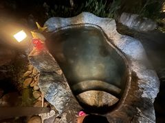 -明月山天沐温泉度假村