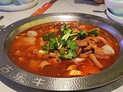 -古乐牛香•鲜牛肉牛杂火锅(系马桩总店)