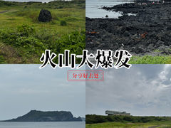 -涉地可支