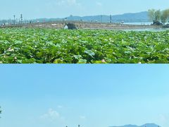 -太子湾公园-九曜山