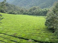 -敬亭山风景名胜区