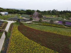 -紫颐香薰山谷景区