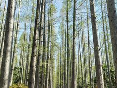 -上海怡沁园度假酒店