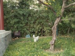 -李叔同故居纪念馆