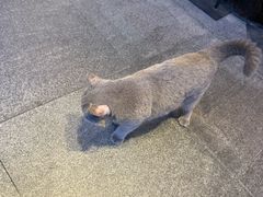 -虹梅食堂·爱蝦乃家