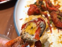 -杨氏青龙虾·羊蝎子(托乐嘉店)