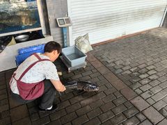 -全乐鱼馆·淳牌有机鱼直营店