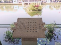 -广东仲元中学