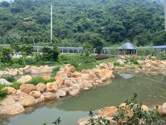 -阳台山森林公园